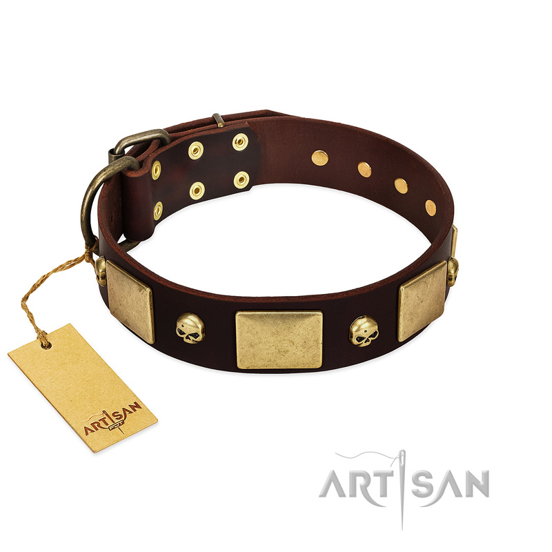 "Heavy Metal" FDT Artisan Brown Leather Belgian Malinois Collar with Old Bronze-like Skulls and Plates
