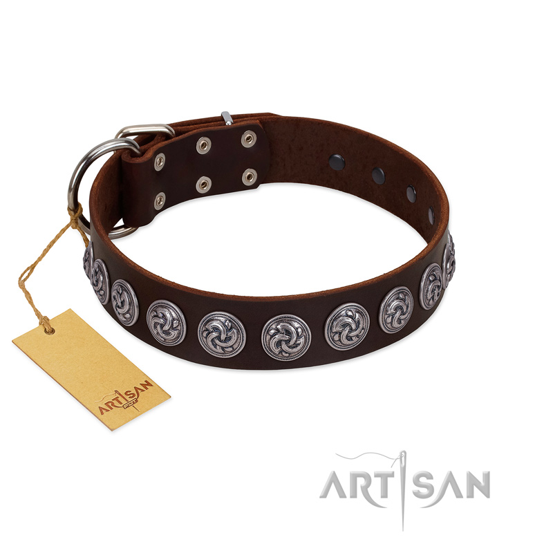 "Charming Circles" FDT Artisan Brown Leather Belgian Malinois Collar with Silver-like Studs