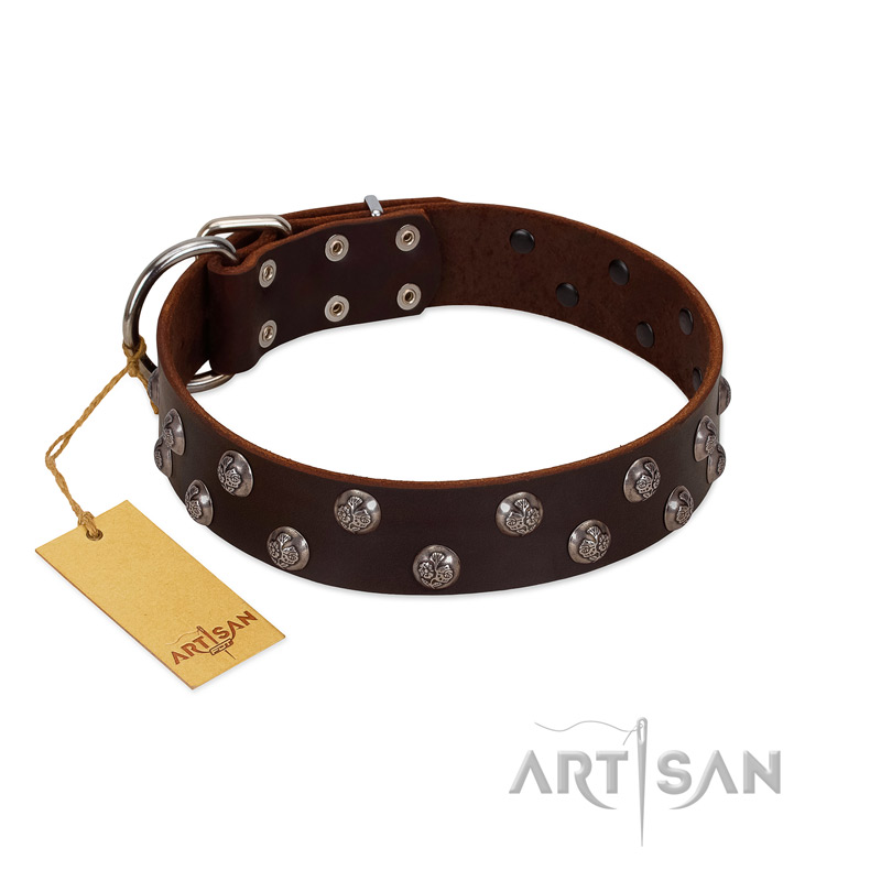 "Blossom Jewel" FDT Artisan Brown Leather Belgian Malinois Collar with Two Rows of Silver-like Studs with Engraved Flowers