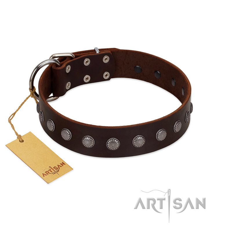 "Spring Flower" Stylish FDT Artisan Brown Leather Belgian Malinois Collar for Comfy Walks