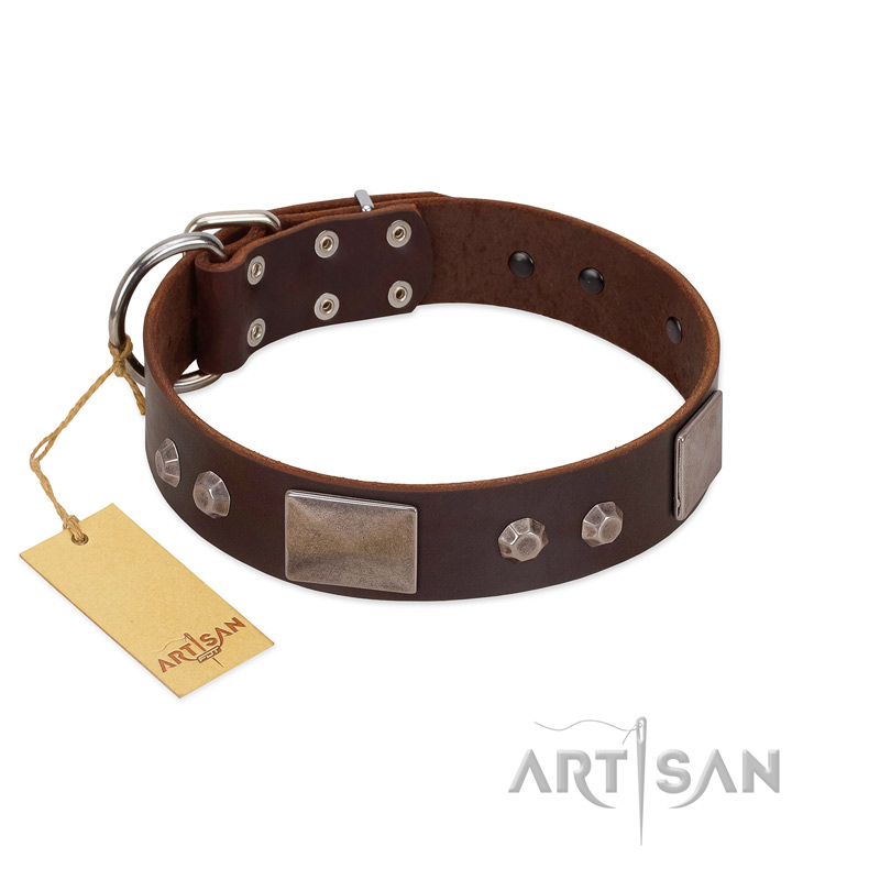 "Stone Stars" Stylish Handmade FDT Artisan Brown Leather Belgian Malinois Collar