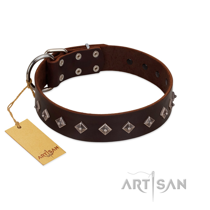 "Boundless Energy" Premium Quality FDT Artisan Brown Designer Leather Belgian Malinois Collar with Small Pyramids