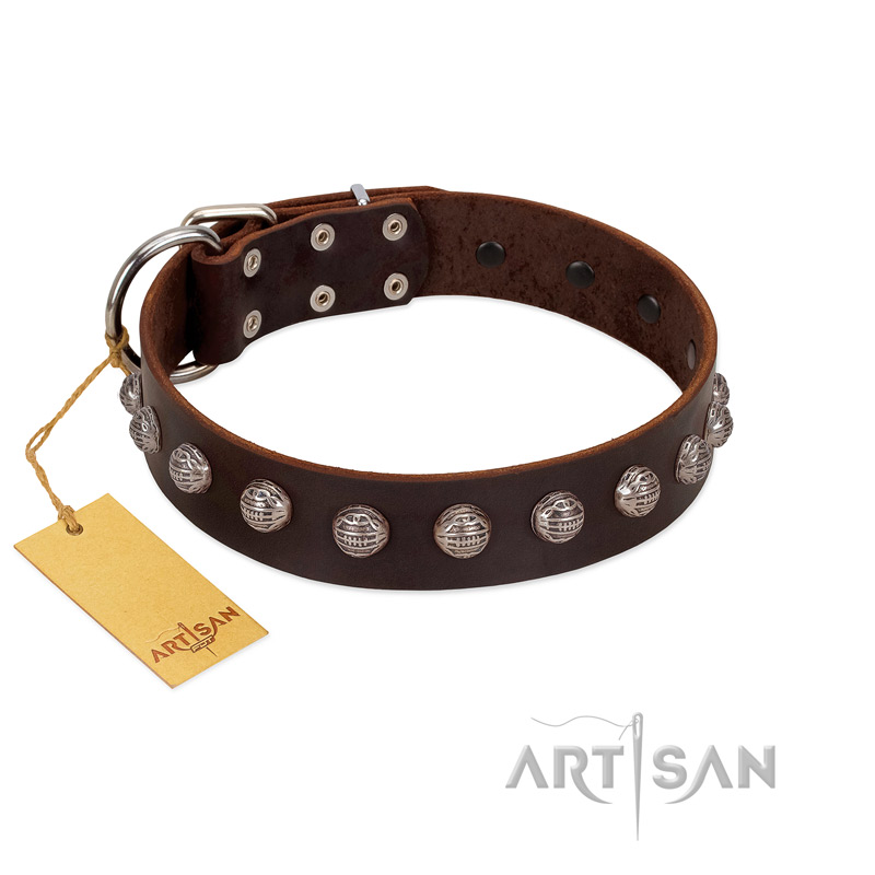 "Lucky Silver" Designer Handmade FDT Artisan Brown Leather Belgian Malinois Collar
