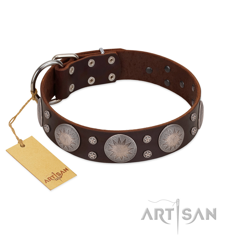 "Imperial Legate" FDT Artisan Brown Leather Belgian Malinois Collar with Big Round Plates - Click Image to Close