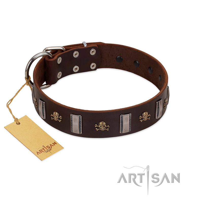 "War Chief" FDT Artisan Genuine Brown Leather Belgian Malinois Collar with Skulls and Plates