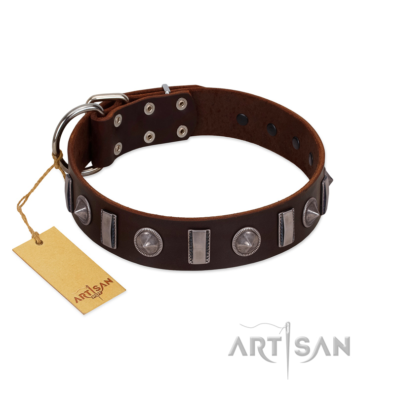 "Spiky Way" FDT Artisan Brown Leather Belgian Malinois Collar with Silver-Like Decorations