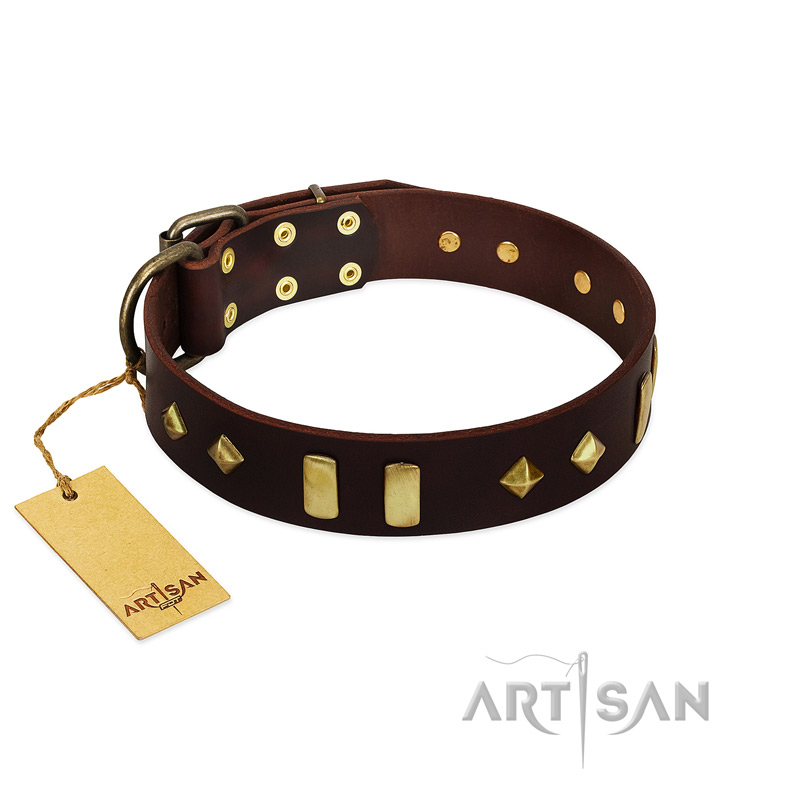"Blinking Illusion" FDT Artisan Brown Leather Belgian Malinois Collar with Old Bronze-like Studs and Plates