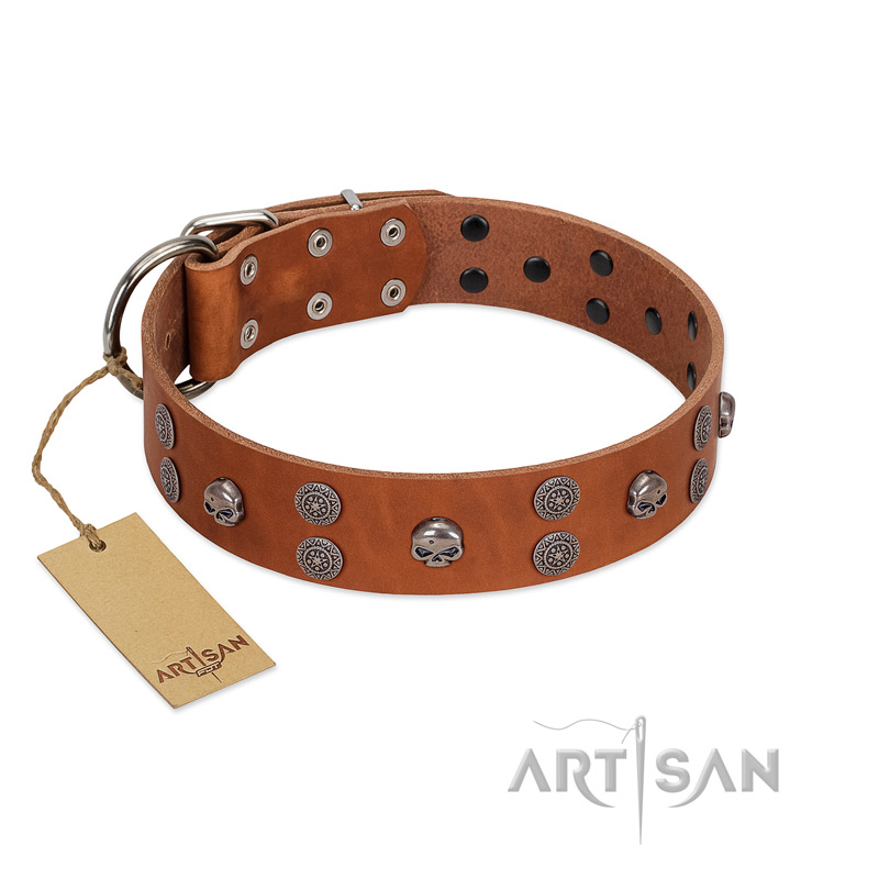 "Road Rider" FDT Artisan Tan Leather Belgian Malinois Collar with Old Silver-like Skulls and Medallions