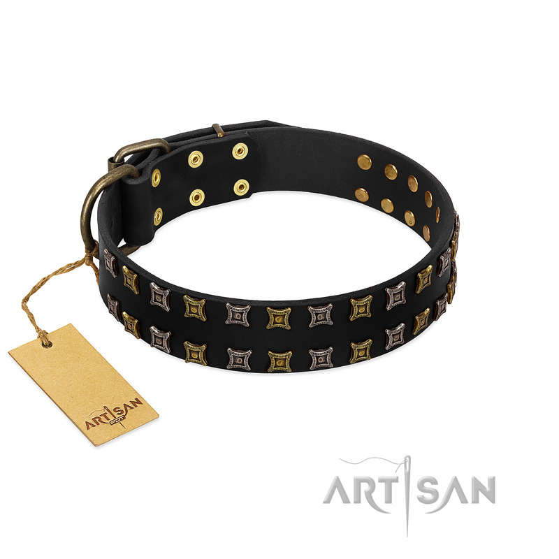 "Refined Pattern" FDT Artisan Black Leather Belgian Malinois Collar with Two Rows of Stunning Decorations