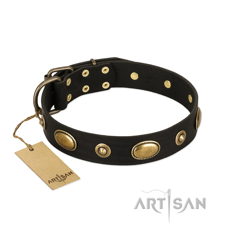 "Eye-Catcher" FDT Artisan Black Leather Belgian Malinois Collar for Walking in Style