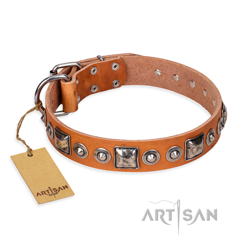 "Era of Future" FDT Artisan Handcrafted Tan Leather Belgian Malinois Collar with Decorations
