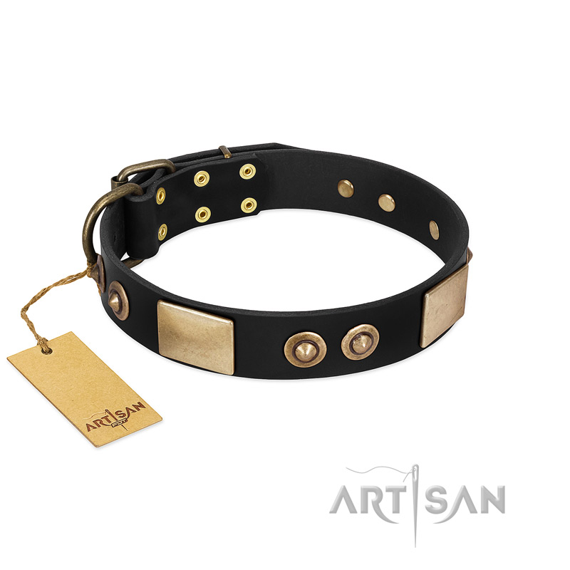 "Moon of Dreams" Black FDT Artisan Leather Belgian Malinois Collar with Plates and Conchos