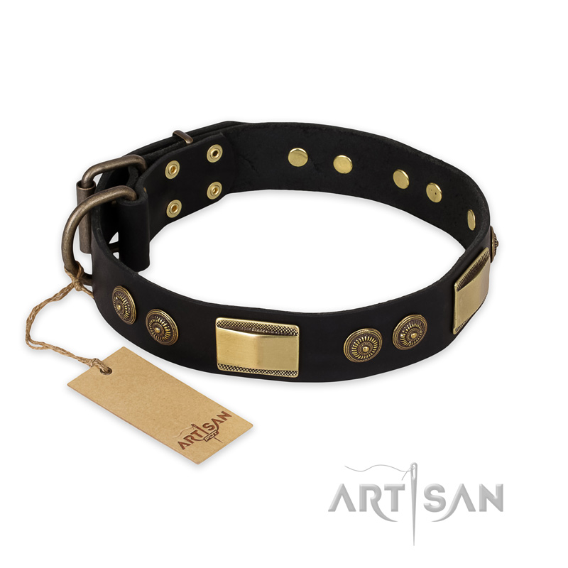"Ancient Egypt" FDT Artisan Leather Belgian Malinois Collar with Old Bronze Look Decorations