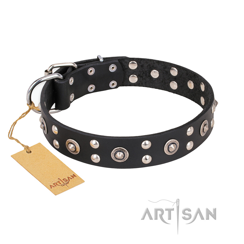"Refined Essence" FDT Artisan Black Leather Belgian Malinois Collar with Silvery Studs