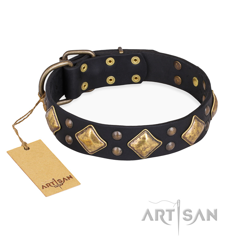 "Fancy-Schmancy" FDT Artisan Studded Leather Belgian Malinois Collar