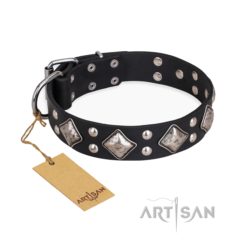"Smart Geometry" FDT Artisan Studded Leather Belgian Malinois Collar