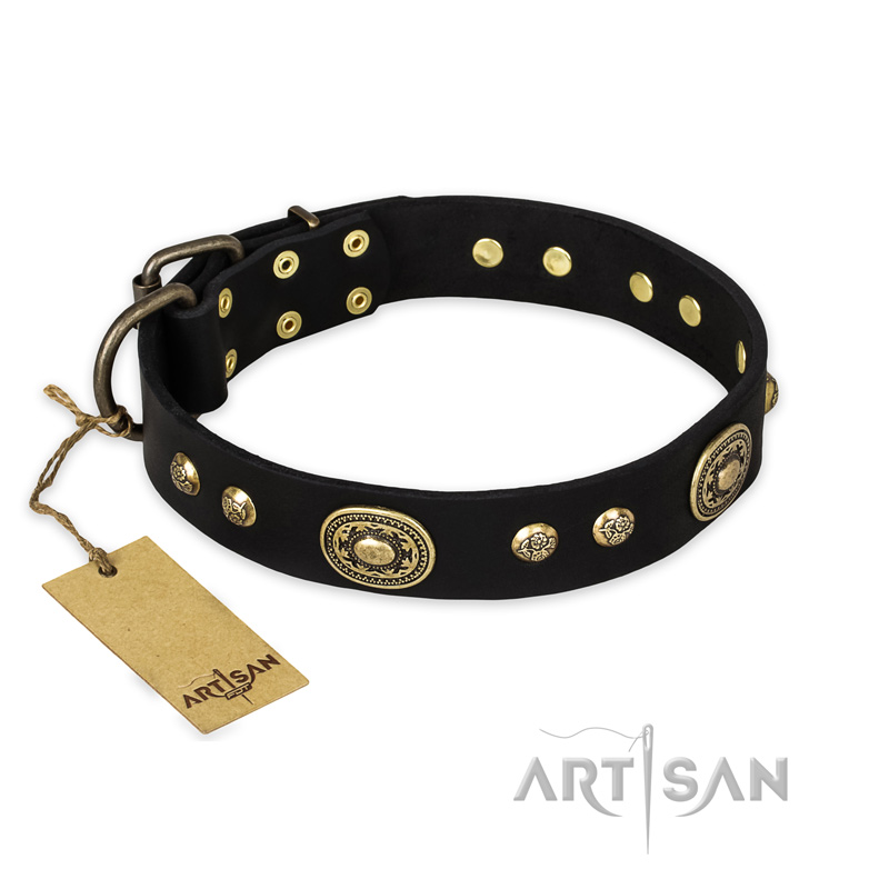 "High Fashion" FDT Artisan Studded with Plates Black Leather Belgian Malinois Collar