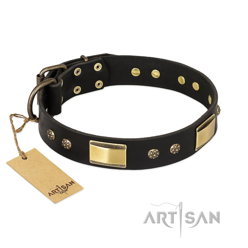 "Black Sun" FDT Artisan Leather Belgian Malinois Collar with Brass Plated Decorations