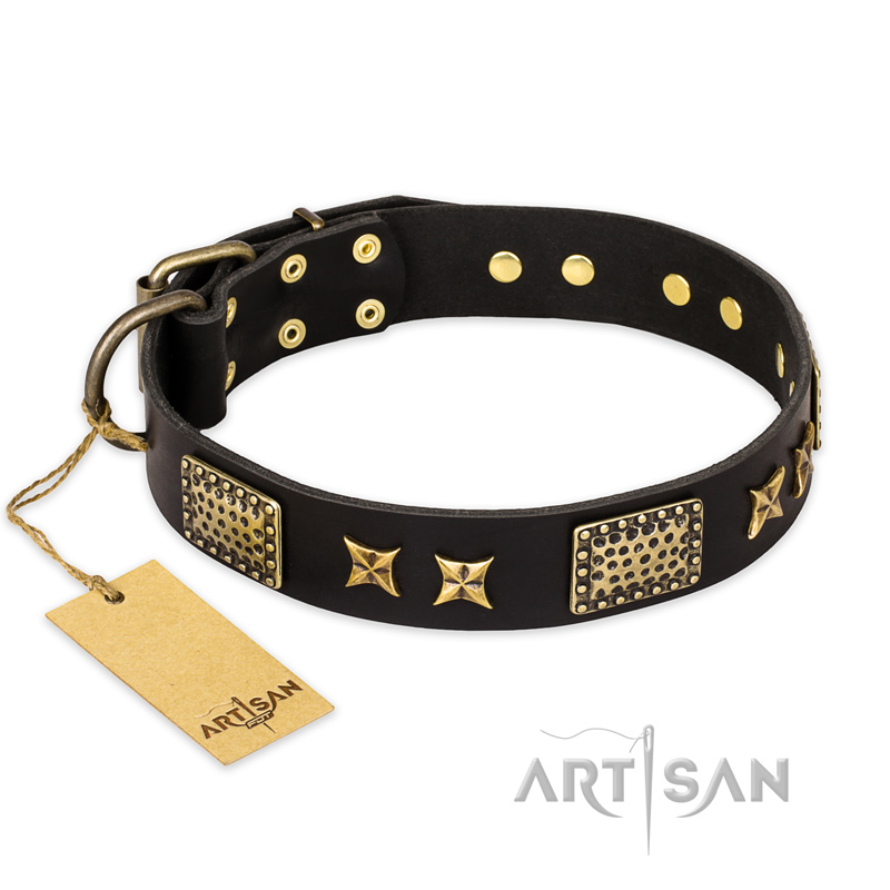 "Passion for Style and Beauty" FDT Artisan Decorated Black Leather Belgian Malinois Collar