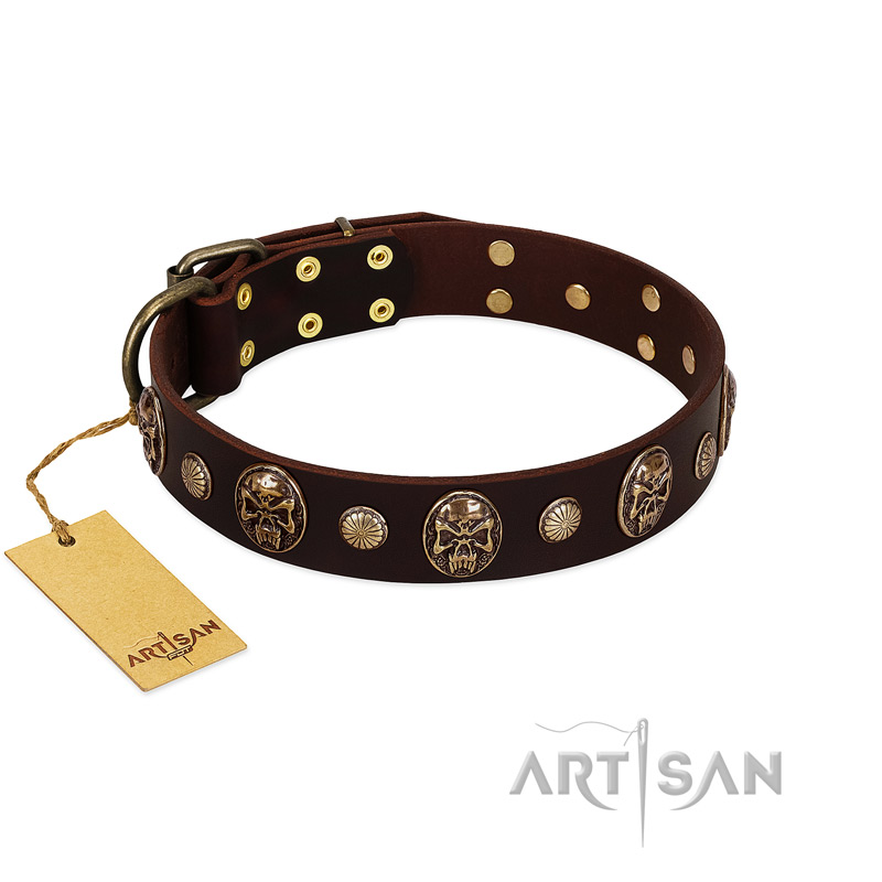 "Snazzy Paws" FDT Artisan Brown Leather Belgian Malinois Collar Adorned with Conchos and Medallions