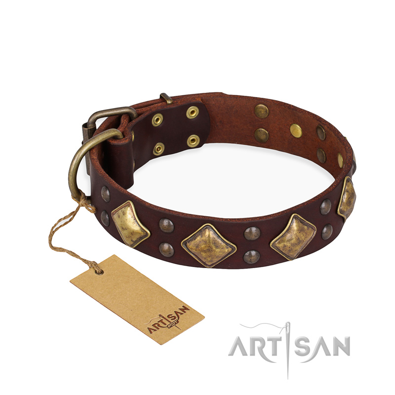 "Golden Square" FDT Artisan Brown Leather Belgian Malinois Collar with Large Squares