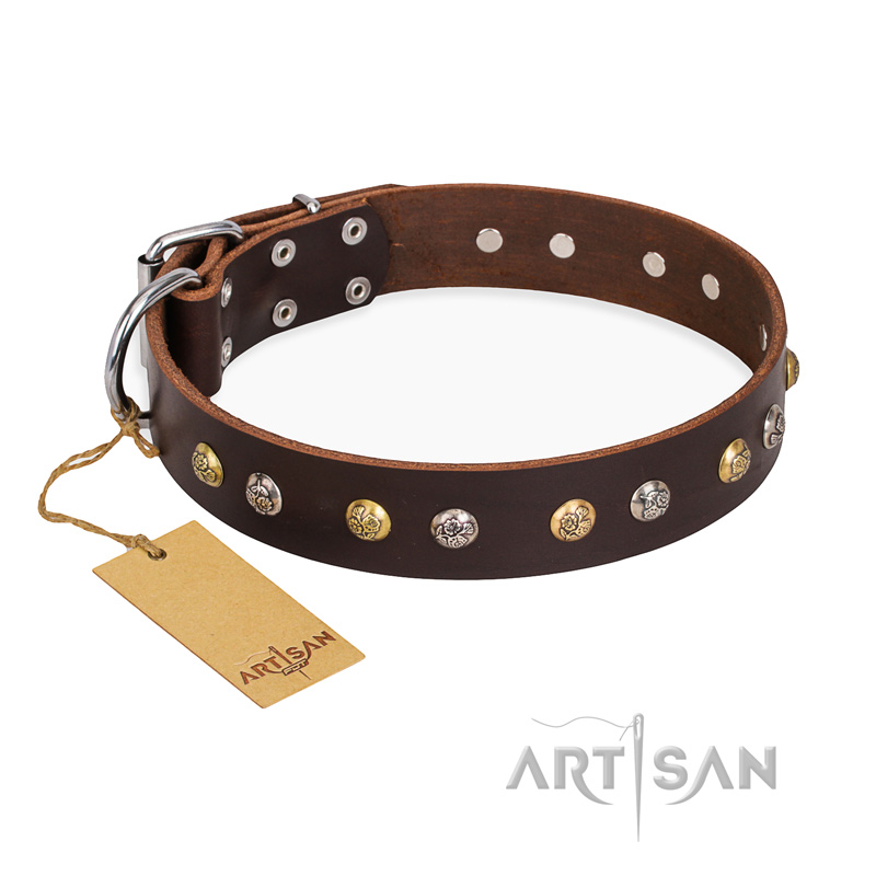 "Golden"n"Silver Luxury" FDT Artisan Leather Belgian Malinois Collar with Engraved Studs