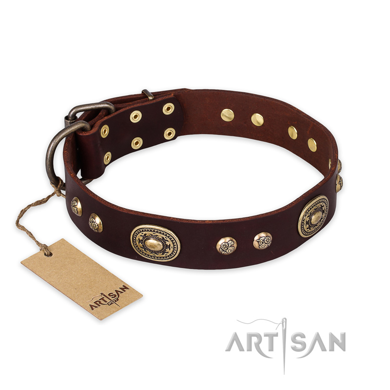 "Breath of Elegance" FDT Artisan Decorated with Plates Brown Leather Belgian Malinois Collar