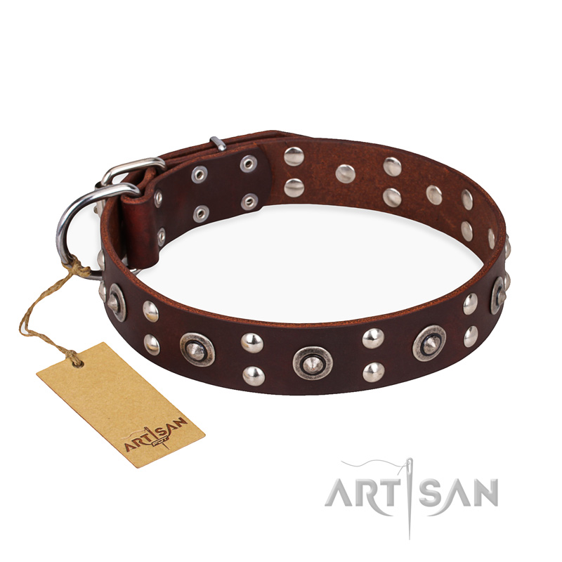 "Pirate Treasure" FDT Artisan Exciting Brown Leather Belgian Malinois Collar with Studs