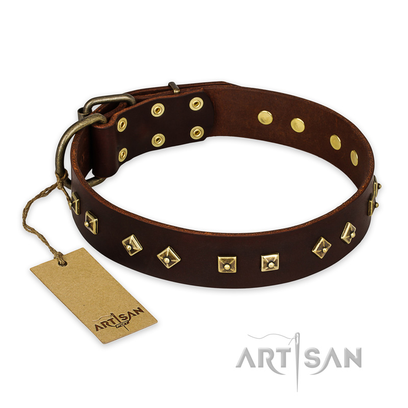 "Fashion Studs" FDT Artisan Decorated Leather Belgian Malinois Collar with Old Bronze-Plated Steel Hardware