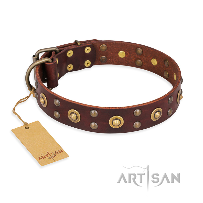 "Caprice of Fashion" FDT Artisan Brown Leather Belgian Malinois Collar with Round Decorations