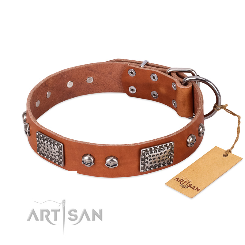 "Sparkling Skull" FDT Artisan Tan Leather Belgian Malinois Collar with Old Silver Look Plates and Skulls