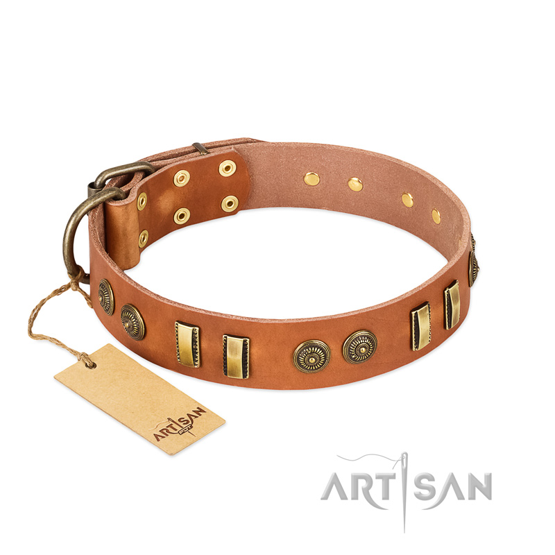"Natural Beauty" FDT Artisan Tan Leather Belgian Malinois Collar with Old Bronze-like Circles and Plates