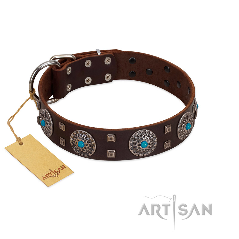 "Hypnotic Stones" FDT Artisan Brown Leather Belgian Malinois Collar with Chrome Plated Brooches and Square Studs