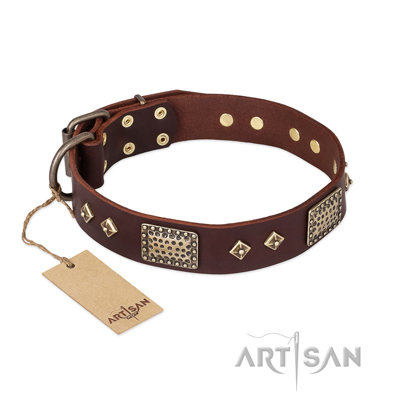 "Loving Owner" FDT Artisan Decorated Leather Belgian Malinois Collar with Plates and Studs