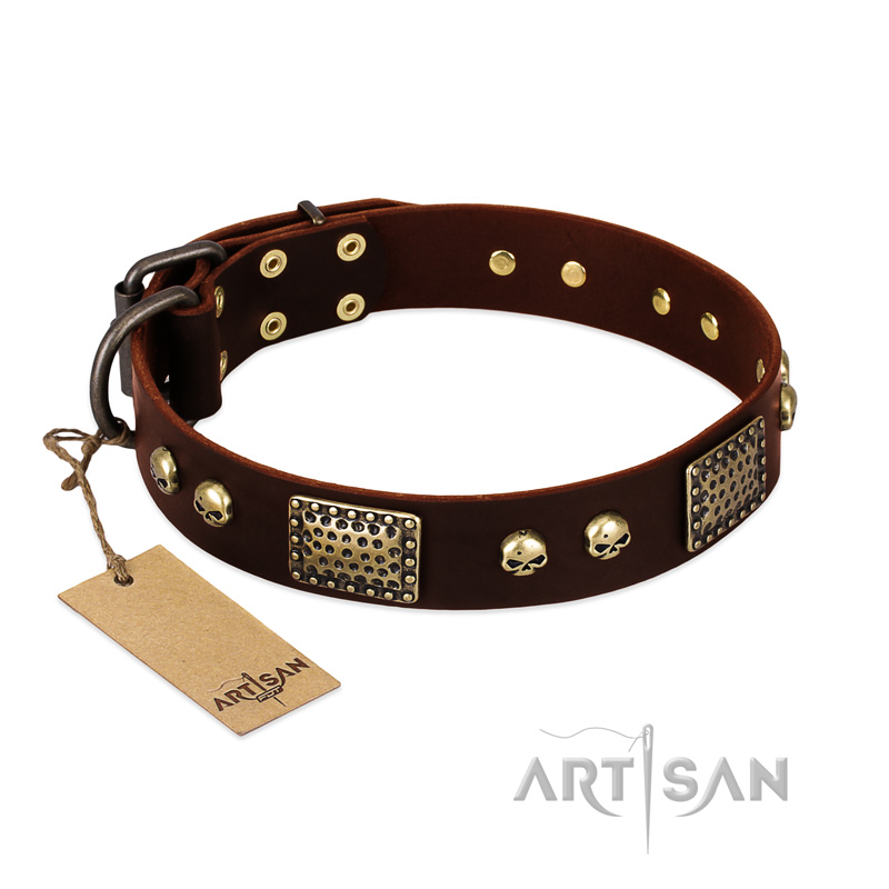 "Magic Amulet" Brown Leather Belgian Malinois Collar with Skulls and Plates
