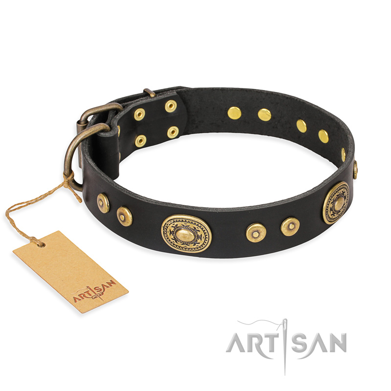 "Golden Radiance" FDT Artisan Black Leather Belgian Malinois Collar with Old Bronze Look Ovals and Circles