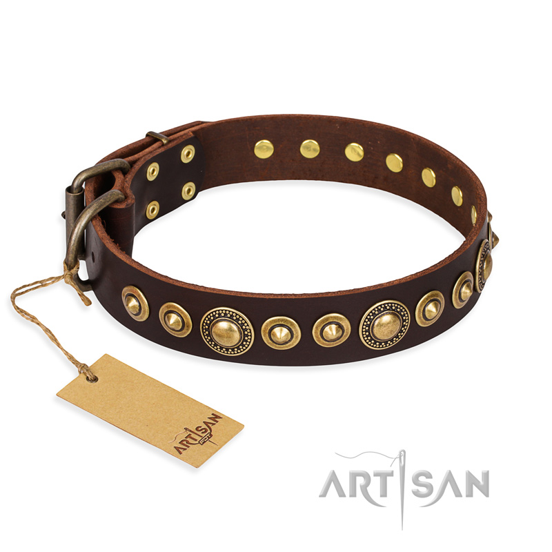 "Ancient Warrior" FDT Artisan Fancy Leather Belgian Malinois Collar with Old-Bronze Plated Decorations