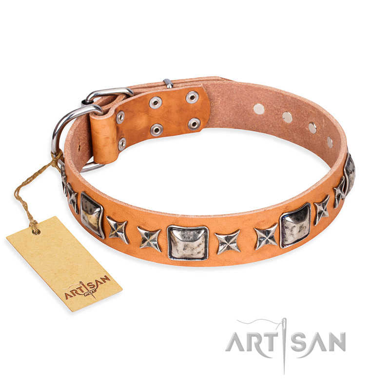 "Glamour Finery" FDT Artisan Female Belgian Malinois collar of natural leather with stylish old-looking circles