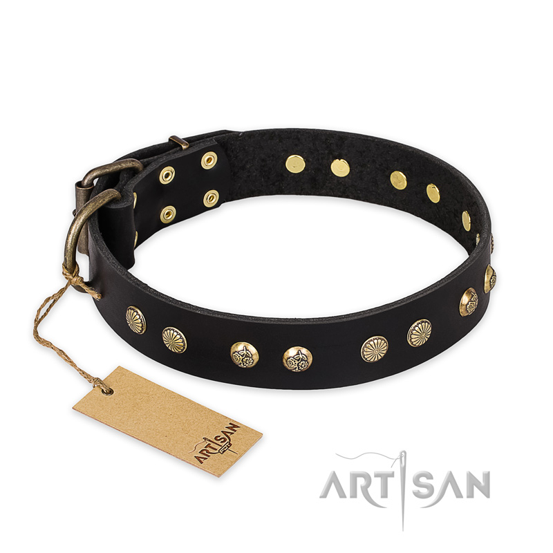 "Black Elegance" FDT Artisan Leather Belgian Malinois Collar with Round Studs