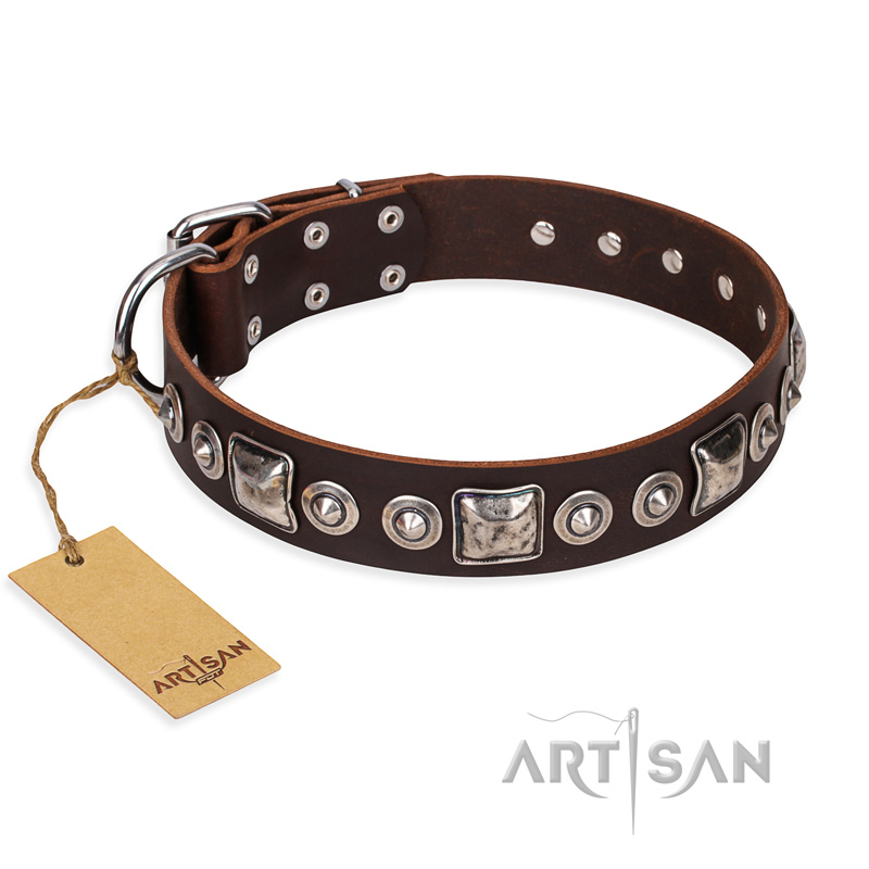 "Pierian spring" FDT Artisan Brown Leather Belgian Malinois Collar with Silvery Decorations