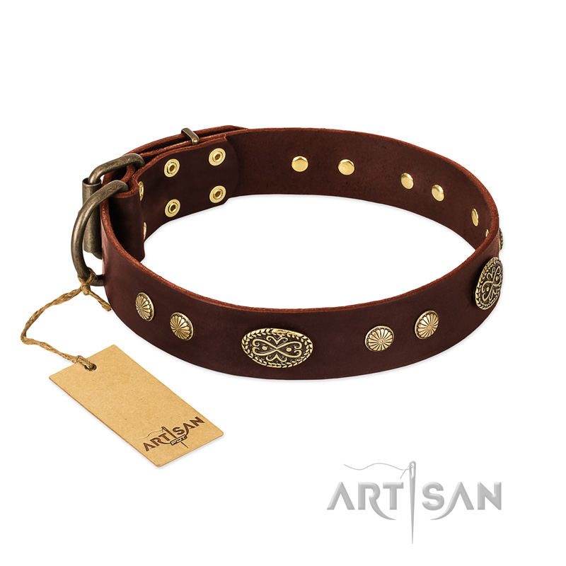"Old-fashioned Glamor" FDT Artisan Brown Leather Belgian Malinois Collar with Old Bronze Look Plates and Circles