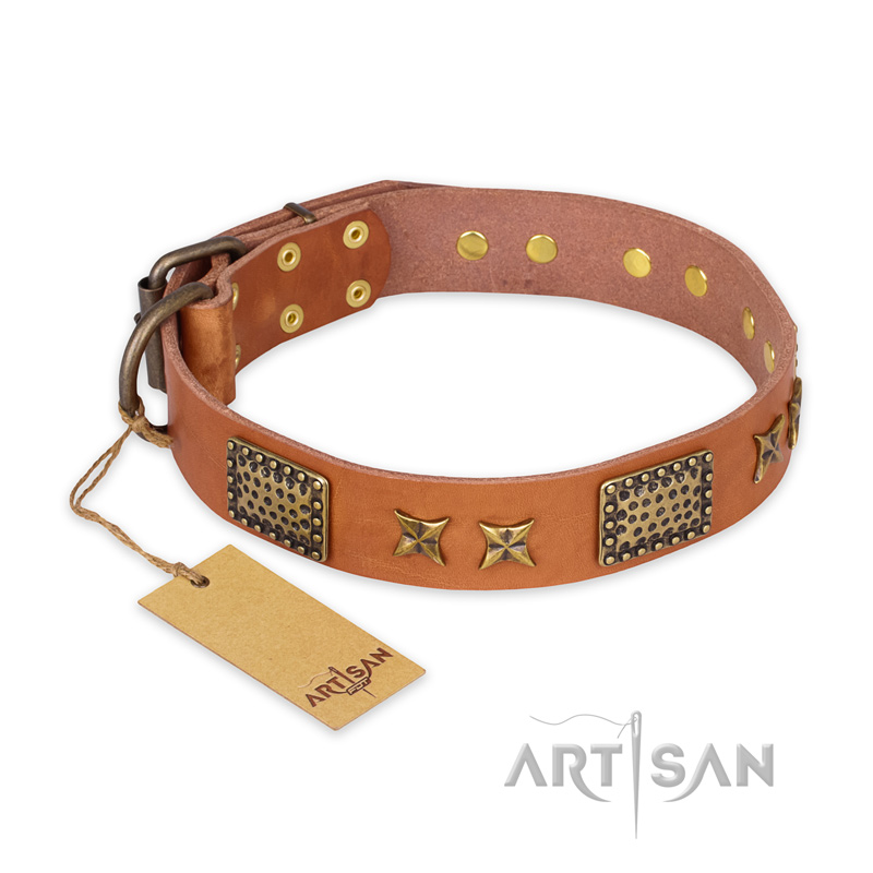 "Cosmic Traveller" FDT Artisan Adorned Leather Belgian Malinois Collar with Old Bronze-Plated Stars and Plates