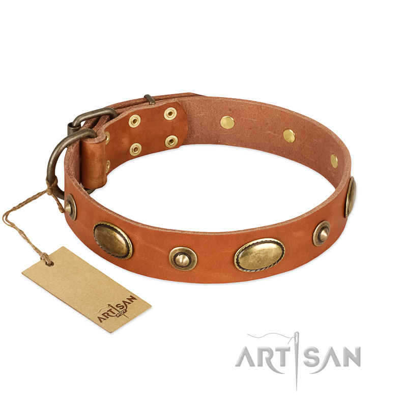 "Visual Magic" FDT Artisan Tan Leather Belgian Malinois Collar for Daily Activities