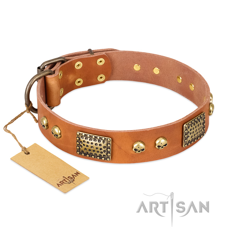 "Saucy Nature" FDT Artisan Tan Leather Belgian Malinois Collar with Old Bronze Look Plates and Skulls - Click Image to Close