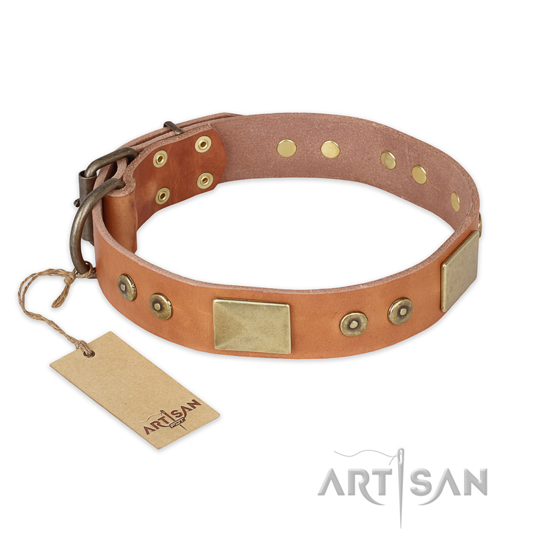 "The Middle Ages" FDT Artisan Handcrafted Tan Leather Belgian Malinois Collar