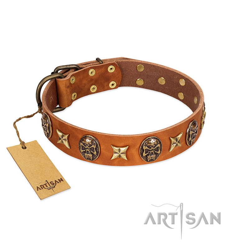 "Rockin' Doggie" FDT Artisan Tan Leather Belgian Malinois Collar Adorned with Stars and Skulls