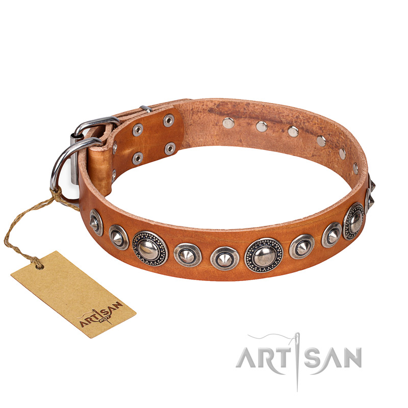 "Daily Chic" FDT Artisan Tan Leather Belgian Malinois Collar with Decorations