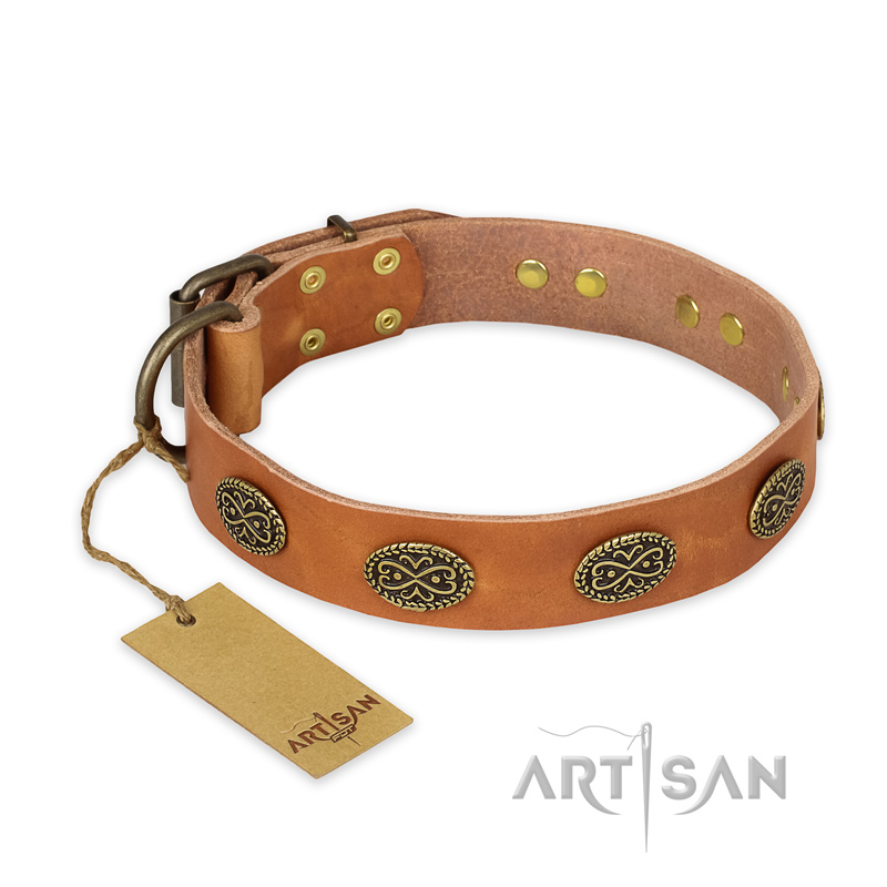 "Magic Amulet" FDT Artisan Tan Leather Belgian Malinois Collar with Oval Studs