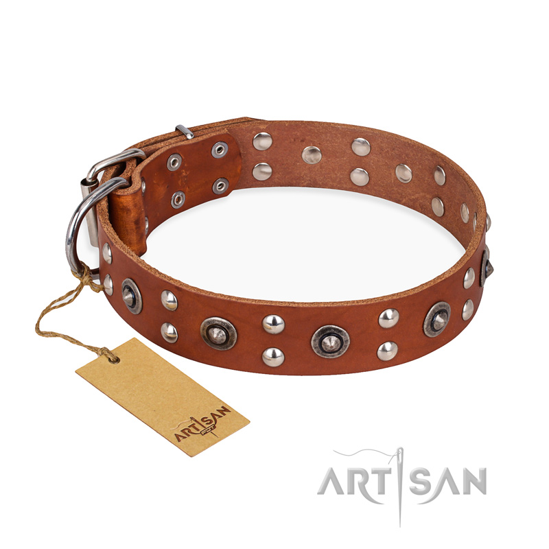 "Silver Elegance" FDT Artisan Decorated Leather Belgian Malinois Collar with Old Silver-Like Plated Studs and Cones