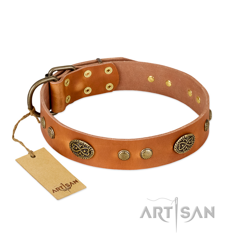 "Sun Beams" FDT Artisan Tan Leather Belgian Malinois Collar with Decorations - Click Image to Close